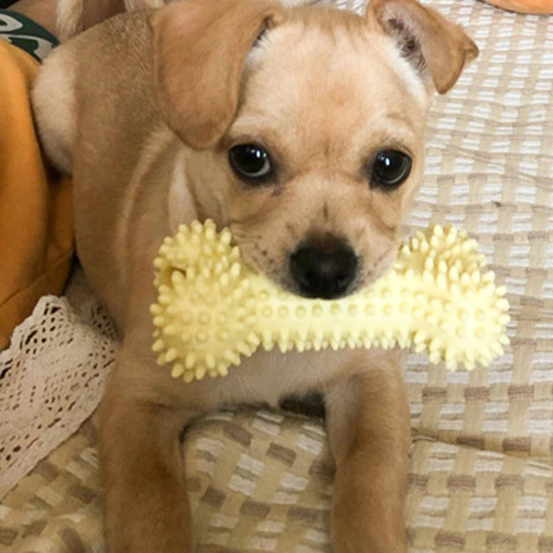 Pet Dog Toys For Small Dog