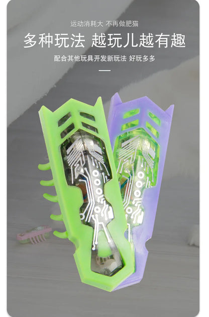 Mini Electric Bug Cat Toy