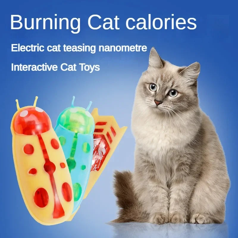 Mini Electric Bug Cat Toy