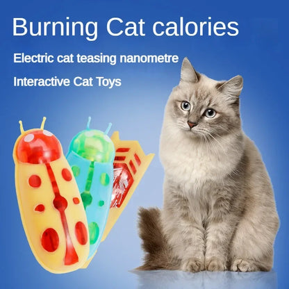 Mini Electric Bug Cat Toy