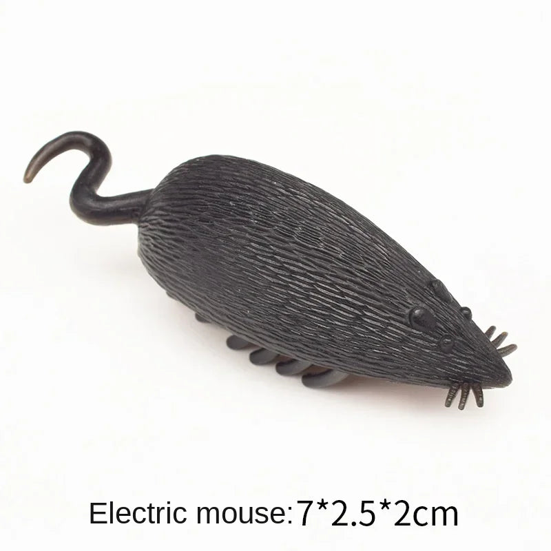 Mini Electric Bug Cat Toy
