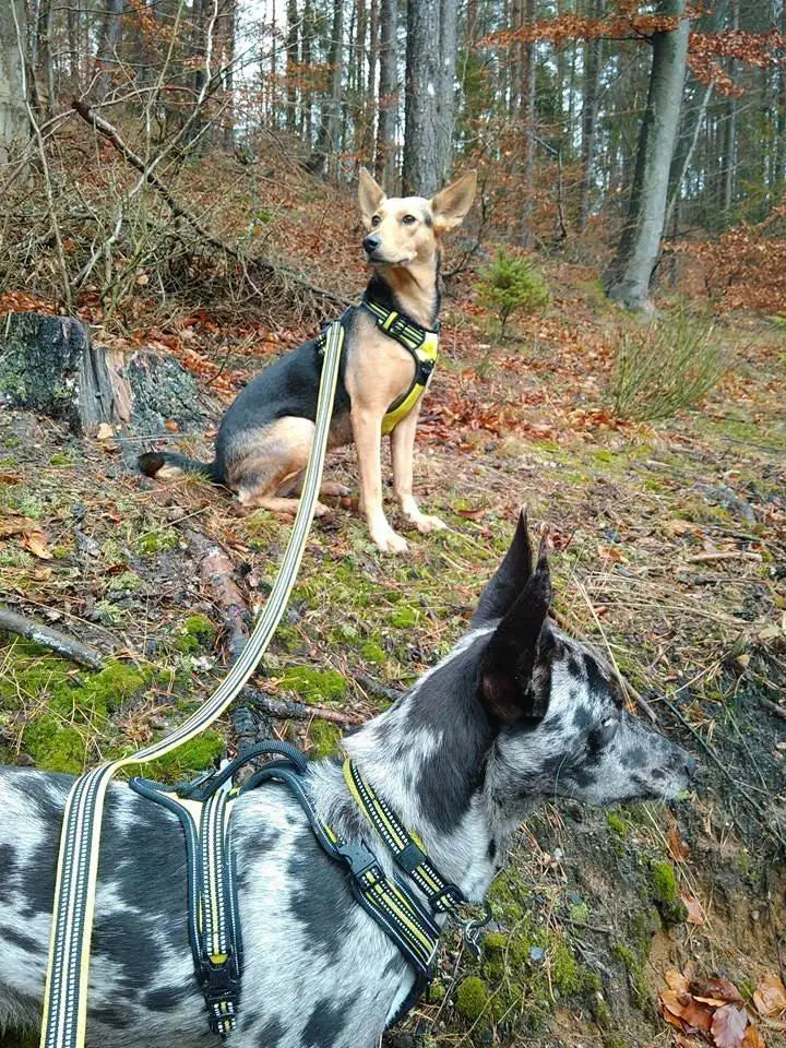 StrideLead™ ComfortGrip