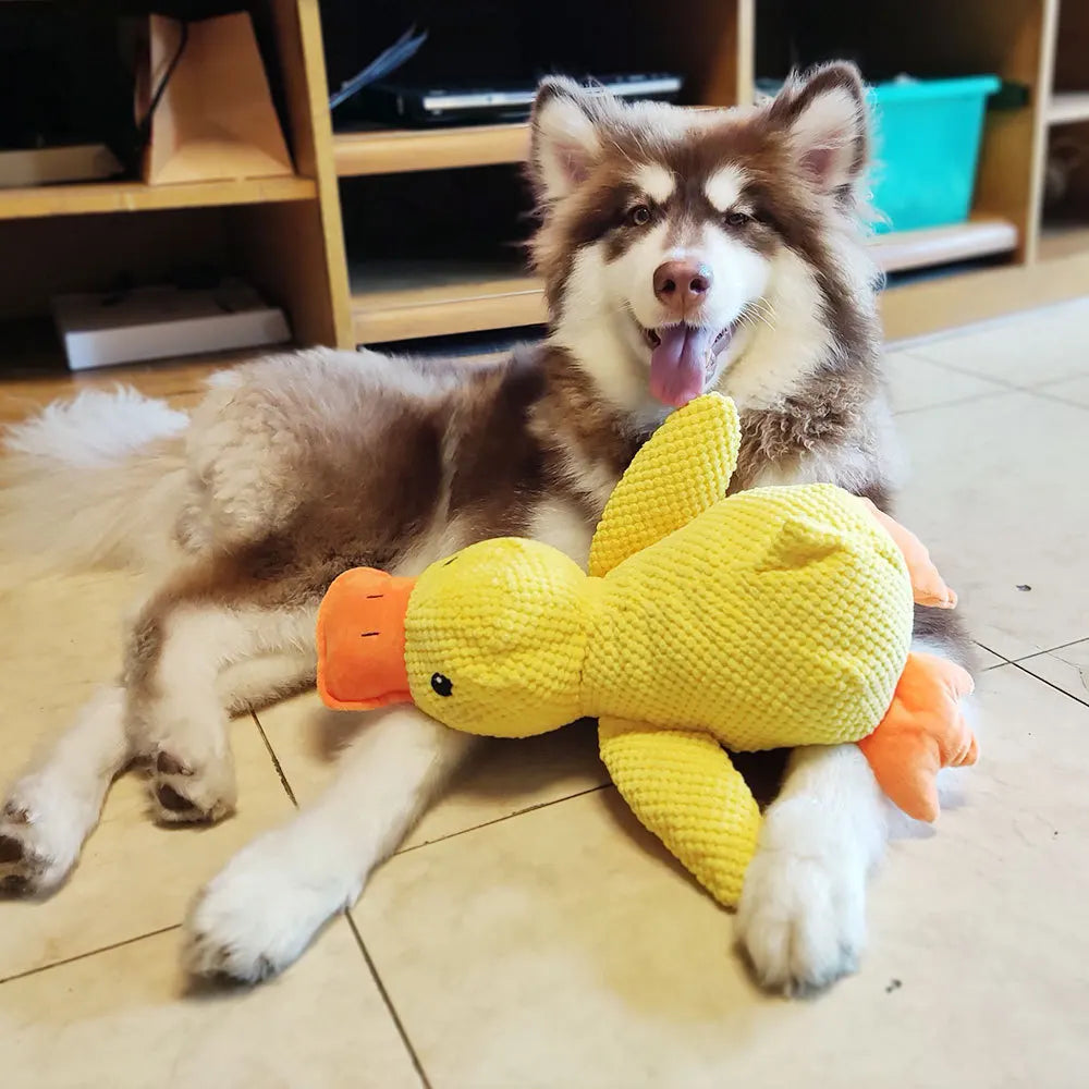Stomping Duck Bite Resistant Toy