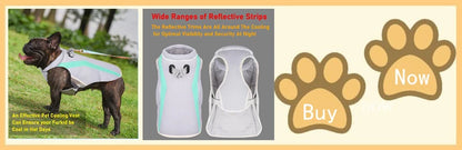 Summer Dog Cooling Vest