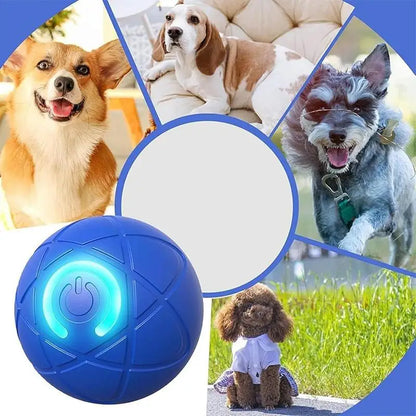 Lumiroam™ K9 Orb