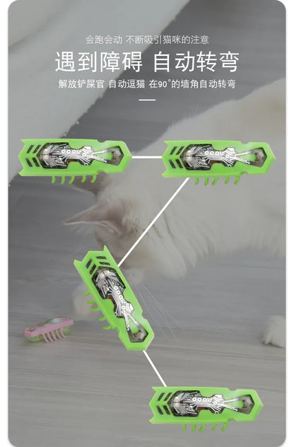 Mini Electric Bug Cat Toy