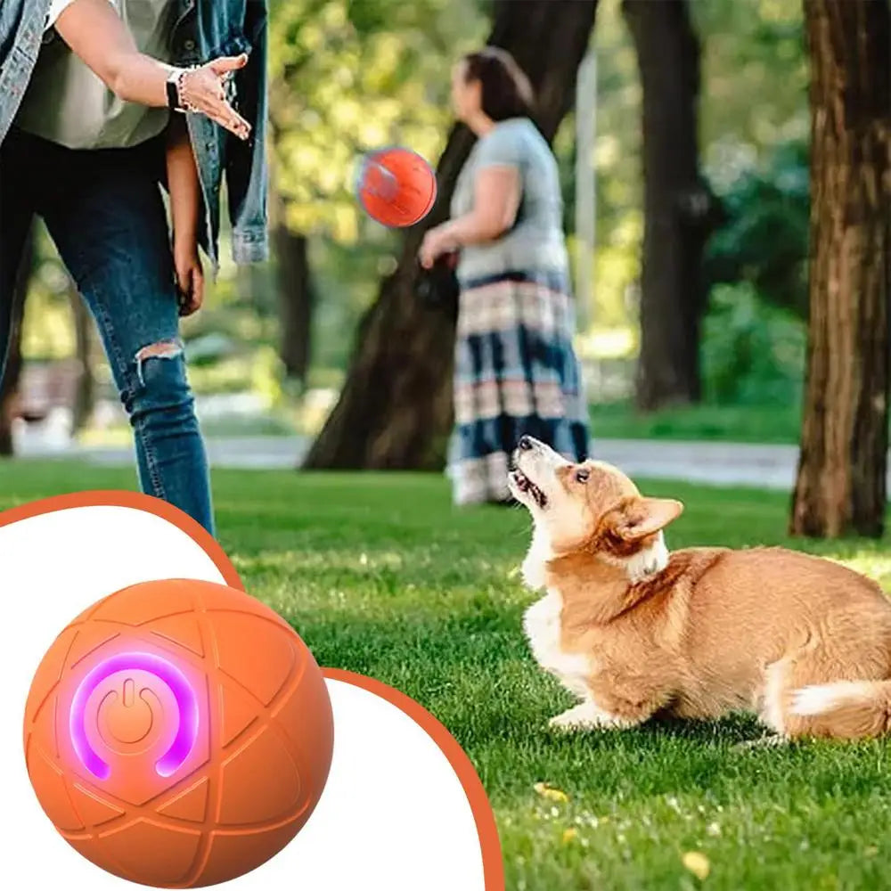 Lumiroam™ K9 Orb