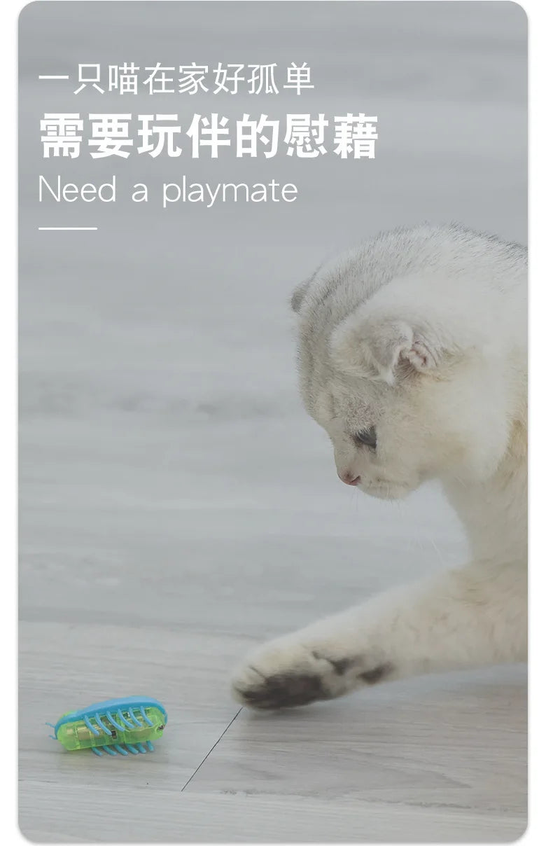 Mini Electric Bug Cat Toy