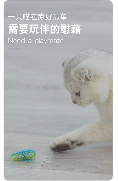 Mini Electric Bug Cat Toy