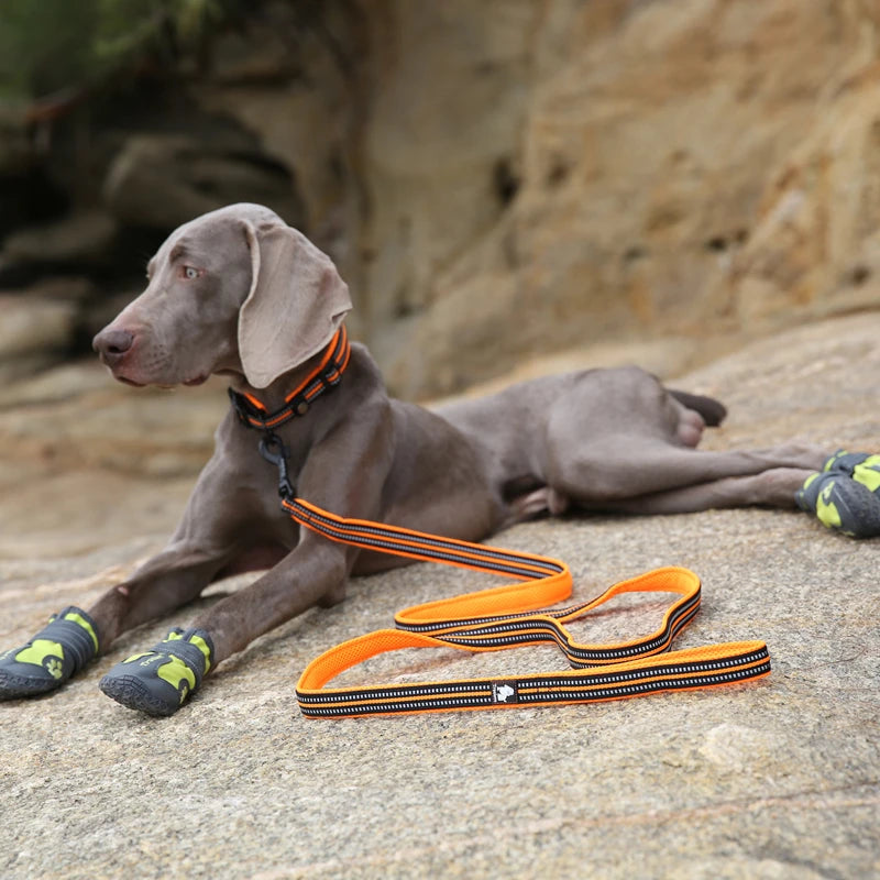 StrideLead™ ComfortGrip