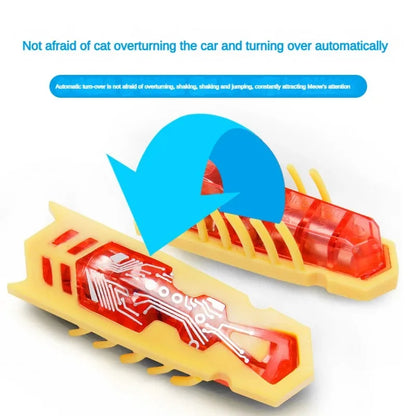 Mini Electric Bug Cat Toy