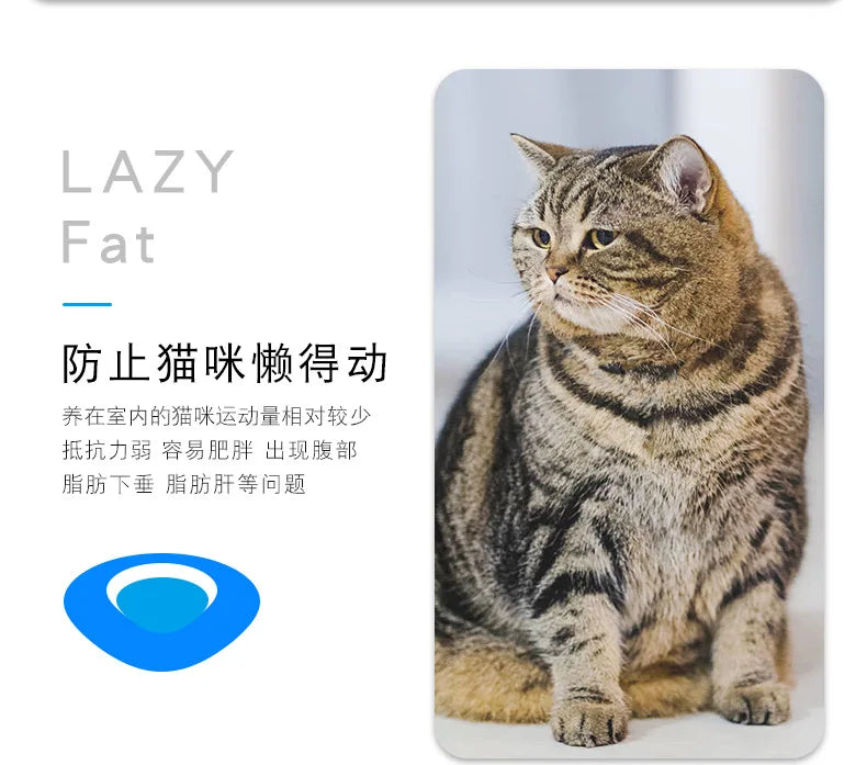 Mini Electric Bug Cat Toy