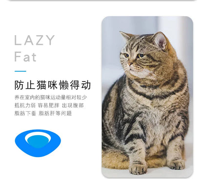 Mini Electric Bug Cat Toy