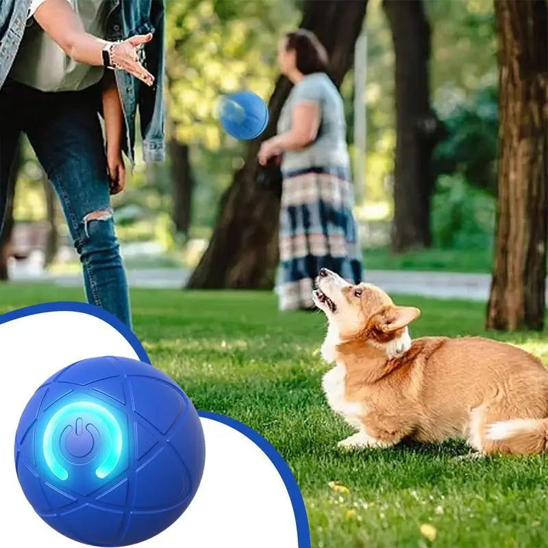 Lumiroam™ K9 Orb