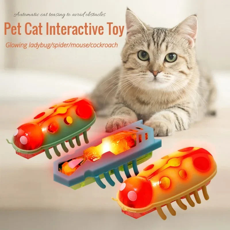 Mini Electric Bug Cat Toy