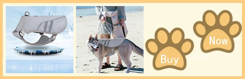 Summer Dog Cooling Vest