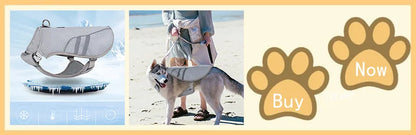 Summer Dog Cooling Vest