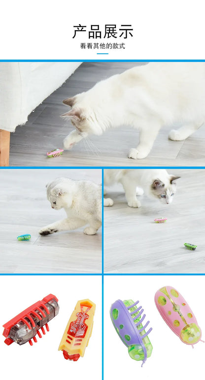 Mini Electric Bug Cat Toy