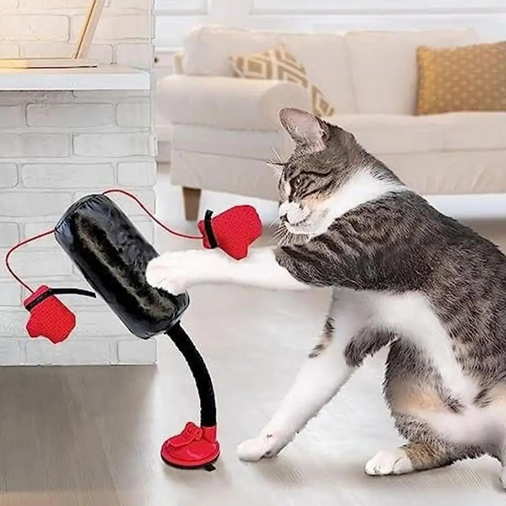 PawPunch™ Kitty Duel Arena