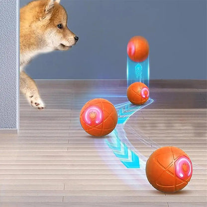 Lumiroam™ K9 Orb
