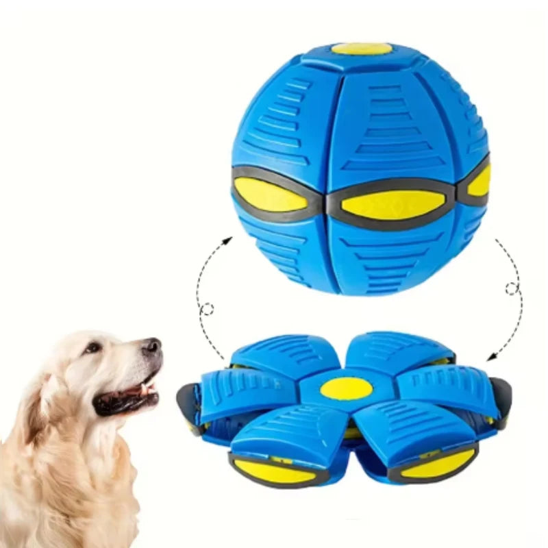 Transforming Dog Ball