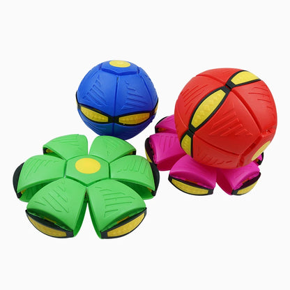 Transforming Dog Ball