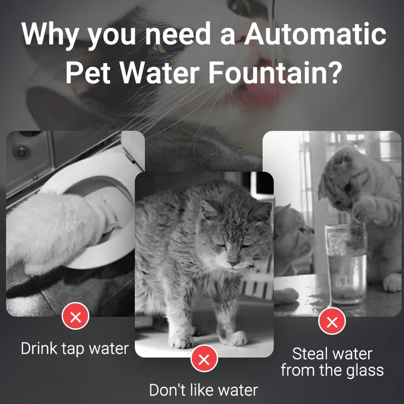 Smart Cat Water Dispenser