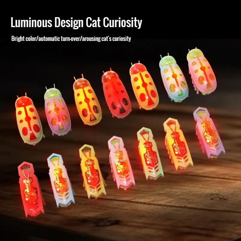 Mini Electric Bug Cat Toy
