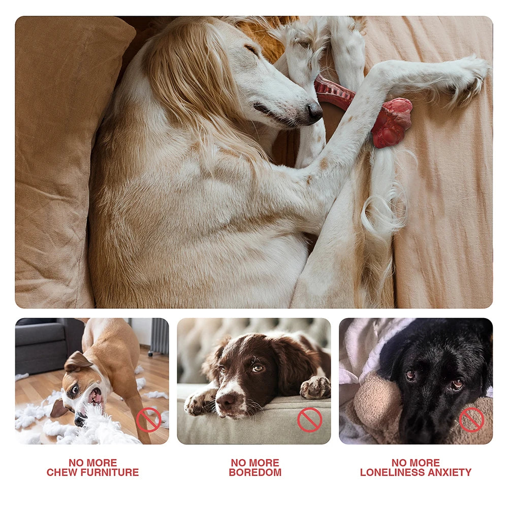 TuffChew™ TitanBone