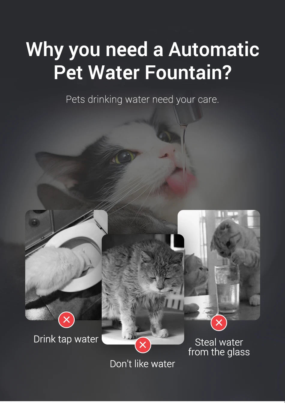 Smart Cat Water Dispenser