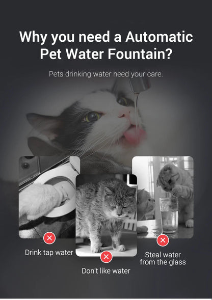 Smart Cat Water Dispenser