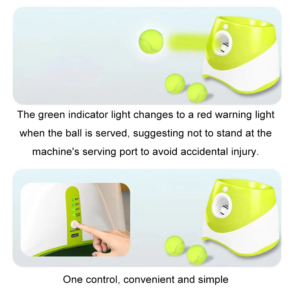 Automatic Dog Ball Launcher