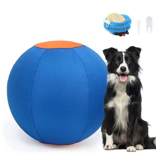 Maneuver Training Ball