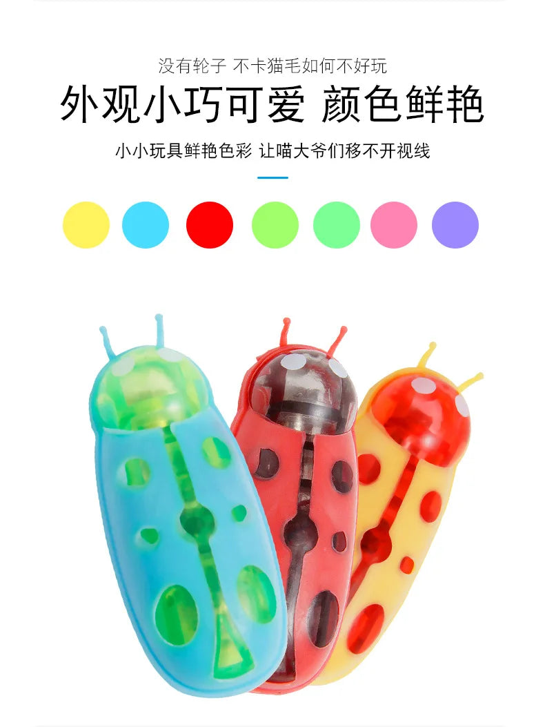 Mini Electric Bug Cat Toy