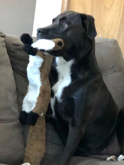 Squeaky Plush Dog Toy