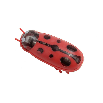 Mini Electric Bug Cat Toy
