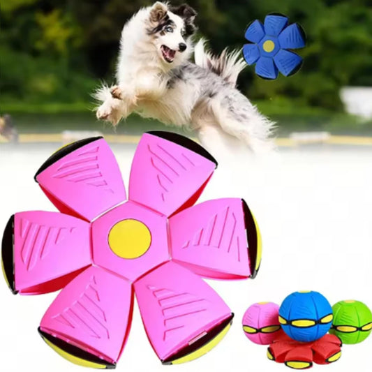 Transforming Dog Ball