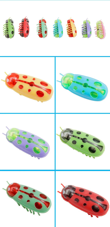 Mini Electric Bug Cat Toy