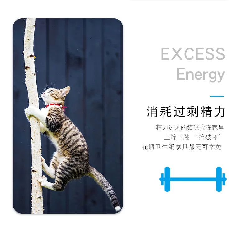 Mini Electric Bug Cat Toy