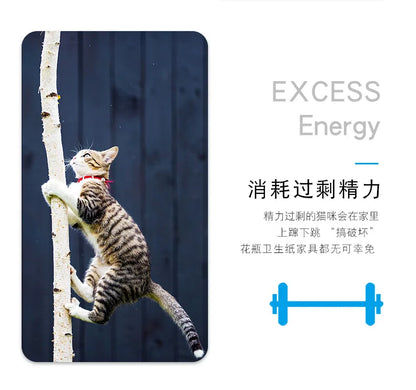 Mini Electric Bug Cat Toy