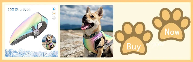 Summer Dog Cooling Vest