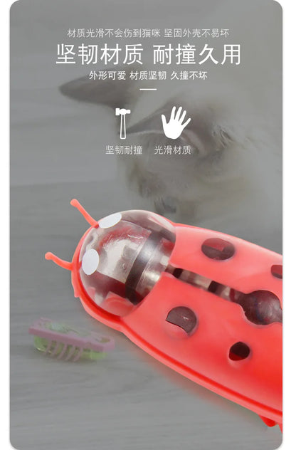 Mini Electric Bug Cat Toy