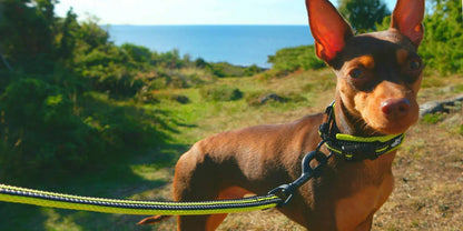 StrideLead™ ComfortGrip